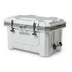 Ψυγείο Φορητό Ισοθερμικό IMX 70Qt/66Lt WHT/MNSCPE IGLOO 41672