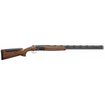 Elos n2 rs Sporting 76cm Exis hp as