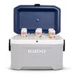Ψυγείο Φορητό Ισοθερμικό MAXCOLD LATITUDE 54Qt/51Lt IGLOO 41677