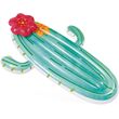 Στρώμα Θαλάσσης INTEX Cactus Float 58793 Στρώμα Θαλάσσης INTEX Cactus Float 58793