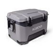 Ψυγείο Φορητό Ισοθερμικό BMX 52Qt/49Lt MNSCP/CARB IGLOO 41670