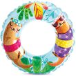 Transparent Rings 59242