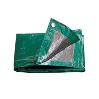 Μουσαμάς - Δάπεδο 2x3 ΡΕ 110gr COMPAS 11309