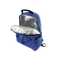 Σακίδιο Πλάτης Ψυγείο 15L PANDA 23308