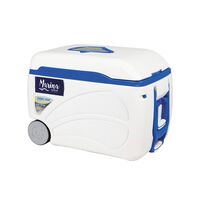 Ψυγειο Marina 47qt/45ltr Roller Pinnacle