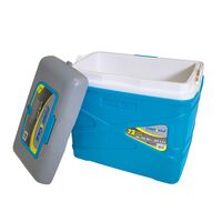 Ψυγείο Φορητό Ισοθερμικό Pasco 31.7Qt/30Lt Τιρκουαζ Pinnacle 31506