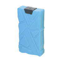 Παγοκυστη 330ml Λαϊμ Pinnacle