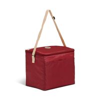 IGLOO ΤΣΑΝΤΑ ΨΥΓΕΙΟ COLLAPSE & COOL 12 ΓΚΡΙ IGLOO PRODUCTS CORPORATION 41319-ΓΚΡΙ