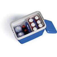 Ισοθερμικό Ψυγείο Πορτακαλί/Πράσινο 29L 12424