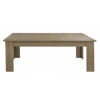 VELCO Pro Systems ΤΡΑΠΕΖΙ ΣΑΛΟΝΙΟΥ 120x60x45 εκ  ΣΦΕΝΔΑΜΟΣ 68-35402-29
