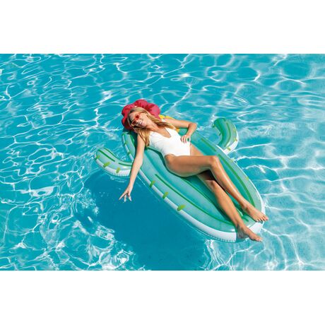 Στρώμα Θαλάσσης INTEX Cactus Float 58793 Στρώμα Θαλάσσης INTEX Cactus Float 58793