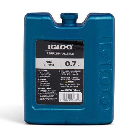 Παγοκύστη 317gr Mini Lunch Block IGLOO 41045