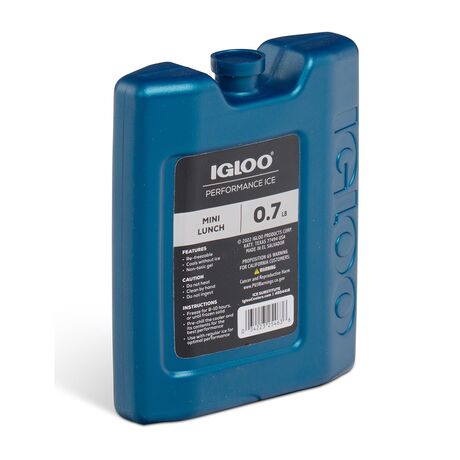 Παγοκύστη 317gr Mini Lunch Block IGLOO 41045