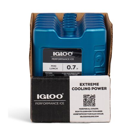 Παγοκύστη 317gr Mini Lunch Block IGLOO 41045