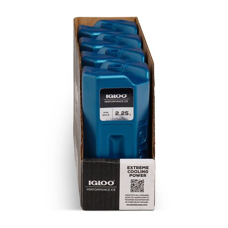 Παγοκύστη 1020gr Mini Ice Brick IGLOO 41046