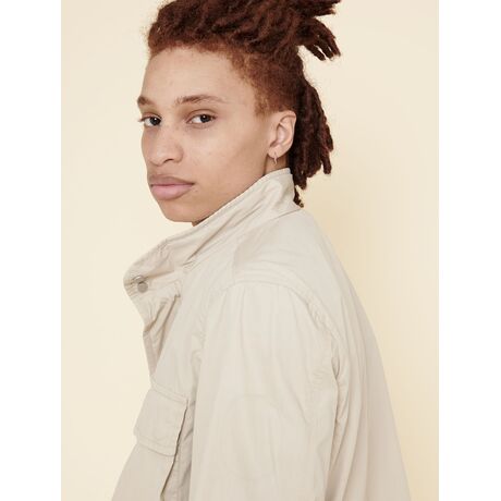 Nepeta Ελαφρυ Μπουφαν