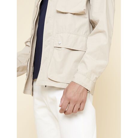 Nepeta Ελαφρυ Μπουφαν