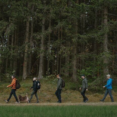 5252 Abisko Insulation Ανδρικο Μπουφαν Pinewood