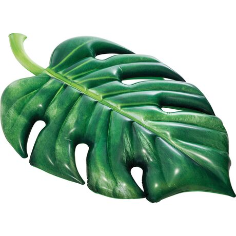 Palm Leaf Mat 58782